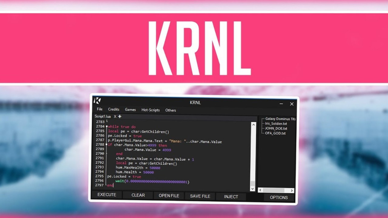 KRNL Screnshot 3